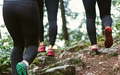 How to Choose the Best Trail Running Shoes