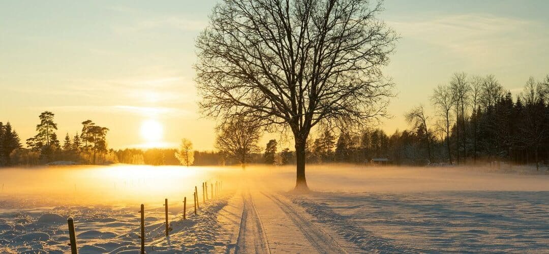 From Winter Slump to Spring Strength