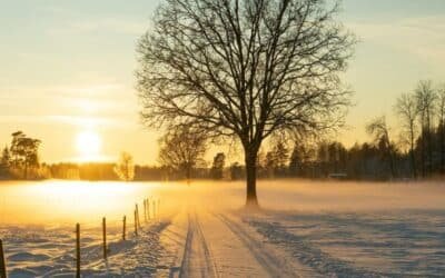 From Winter Slump to Spring Strength