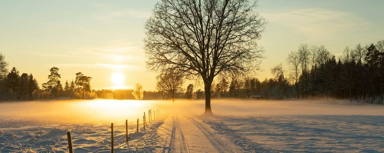 From Winter Slump to Spring Strength